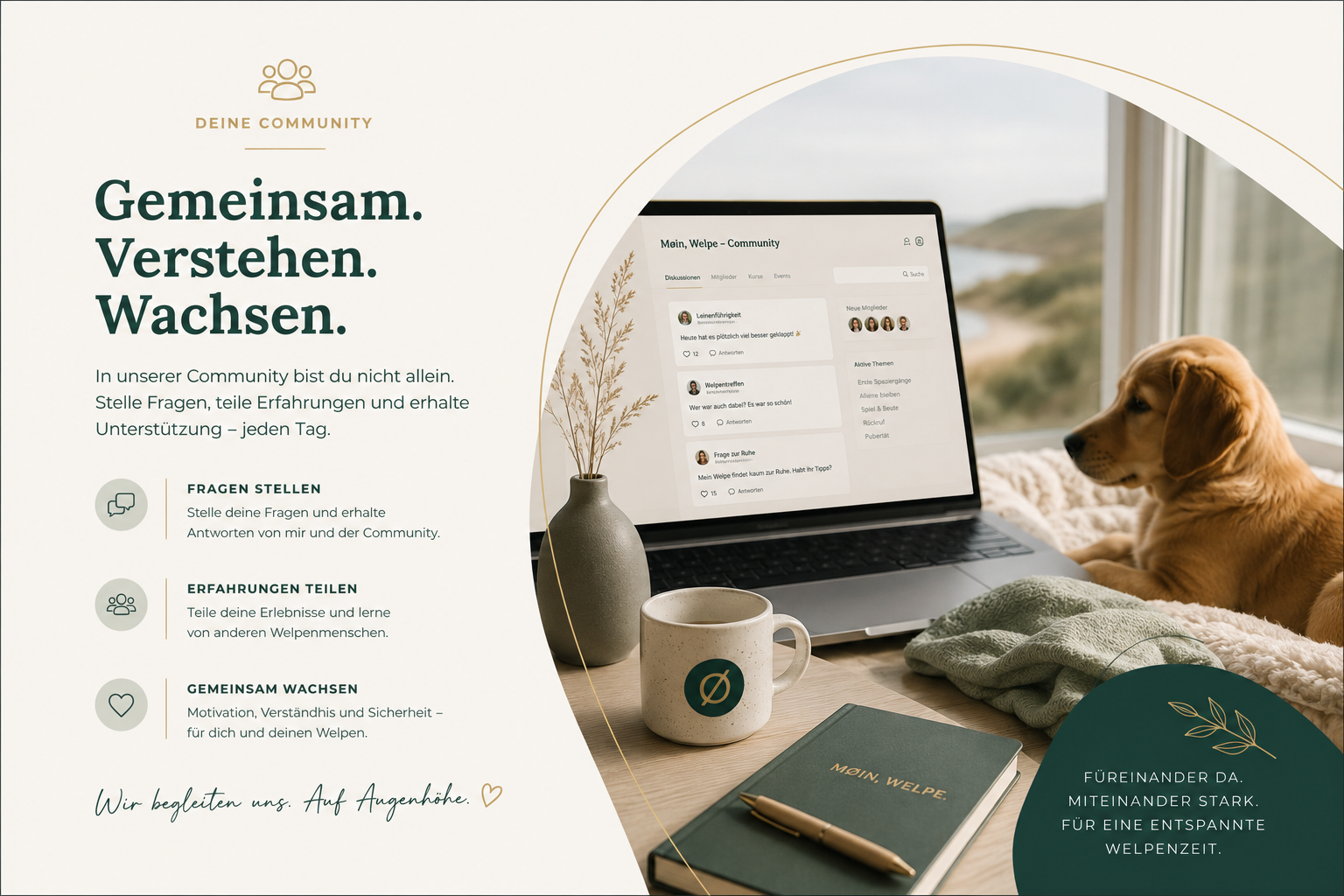 Community und Austausch bei Møin, Welpe