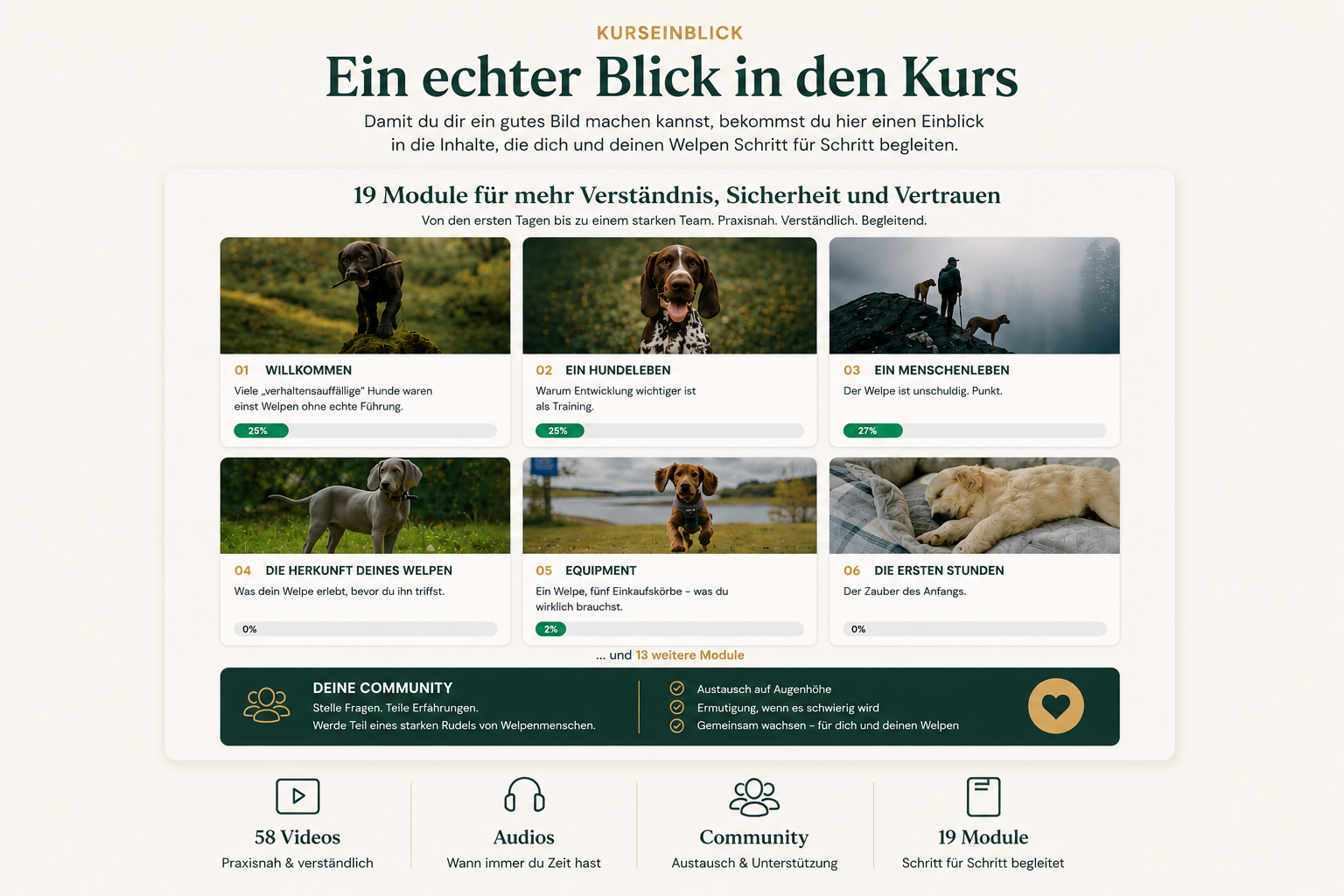 Kurseinblick in Møin, Welpe mit Modulen, Videos, Audios und Community