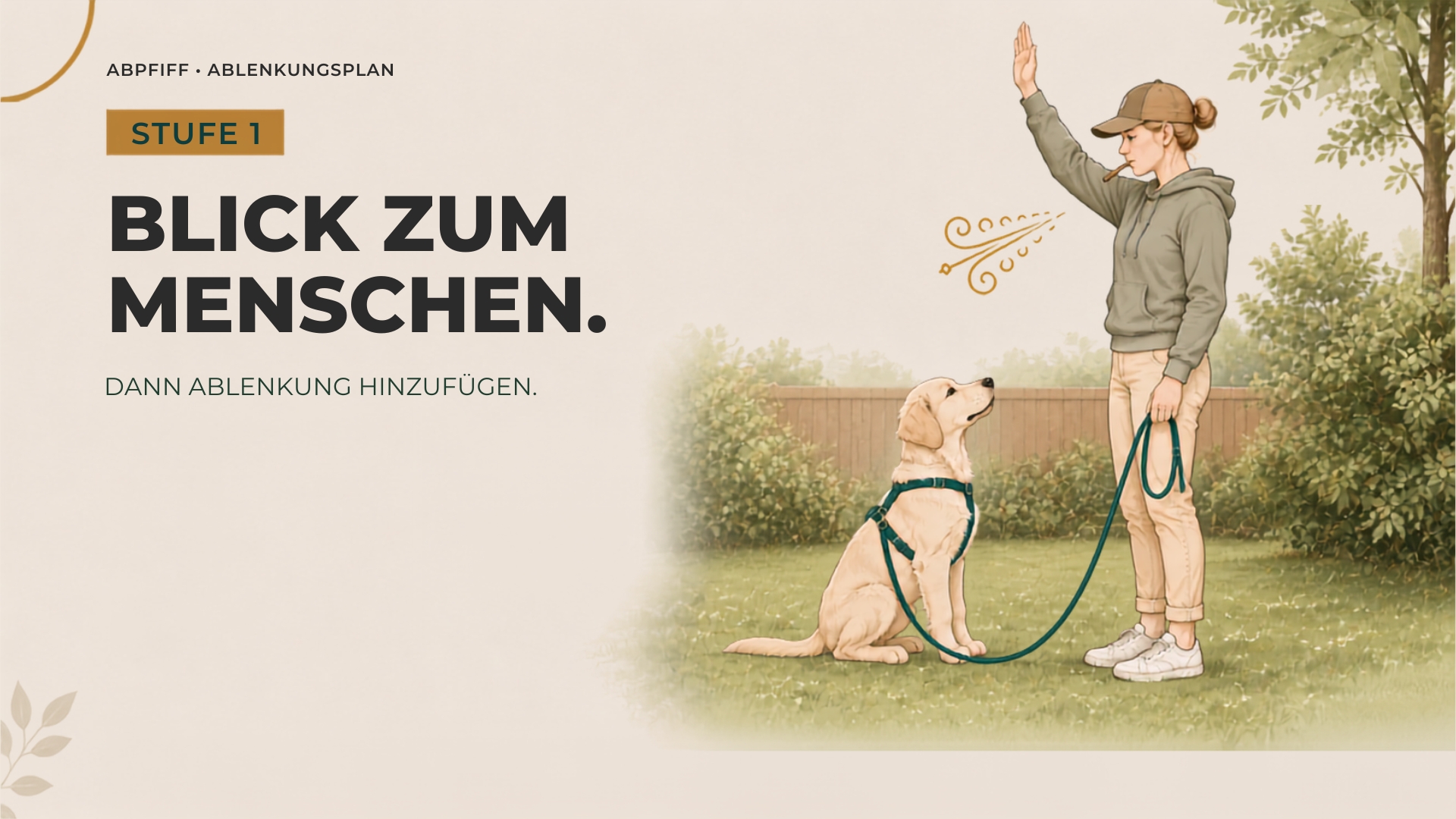 Abpfiff Ablenkungsstufe 1
